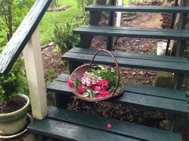 Magnolia Cottage Bed And Breakfast Natchez Εξωτερικό φωτογραφία